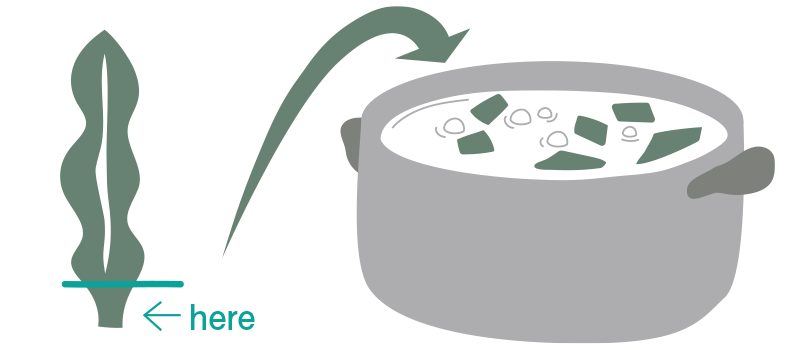 敦賀の名産品「おぼろ昆布」の端材を活用した「昆布水」を活用。